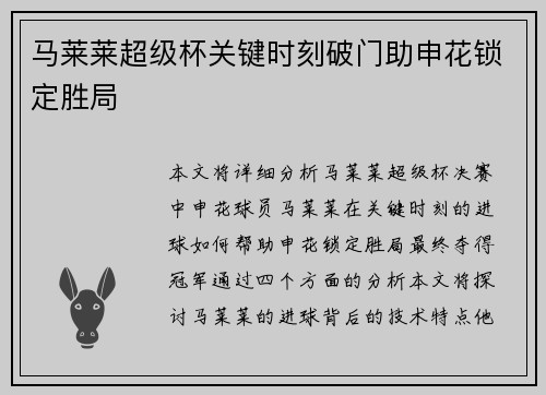 马莱莱超级杯关键时刻破门助申花锁定胜局