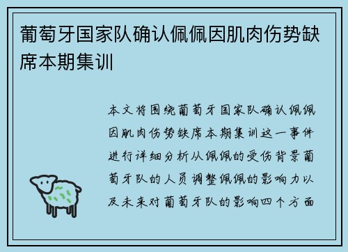葡萄牙国家队确认佩佩因肌肉伤势缺席本期集训